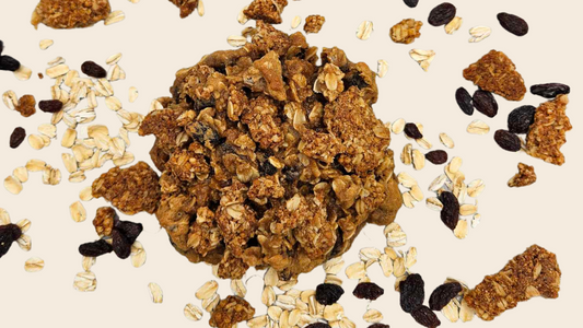 GRANOLA OATMEAL RASIN COOKIE